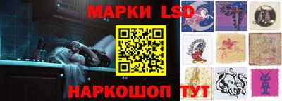 мдпв Донецк