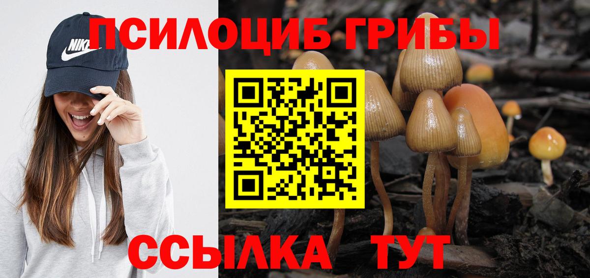 хочу наркоту  Псилоцибиновые грибы мицелий  Вход с VPN  Псилоцибиновые грибы мухоморы  Ялта 